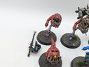 Warhammer Age of Sigmar: Gloomspite Gitz Squighoppers (AZ052)