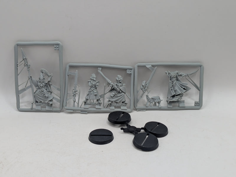 Warhammer 40k: Aeldari Eldar Finecast Warlocks and Farseer (BF047)