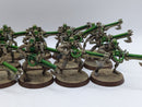 Warhammer 40k: Necron Old Warriors (AJ011)