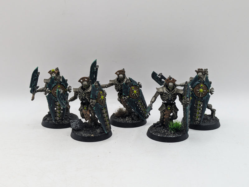 Warhammer 40k: Necron Lychguard (AT230)