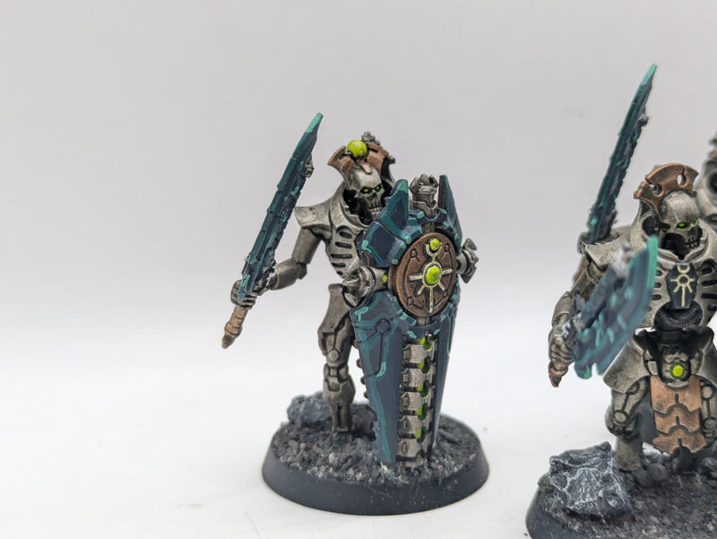 Warhammer 40k: Necron Lychguard (AT230)