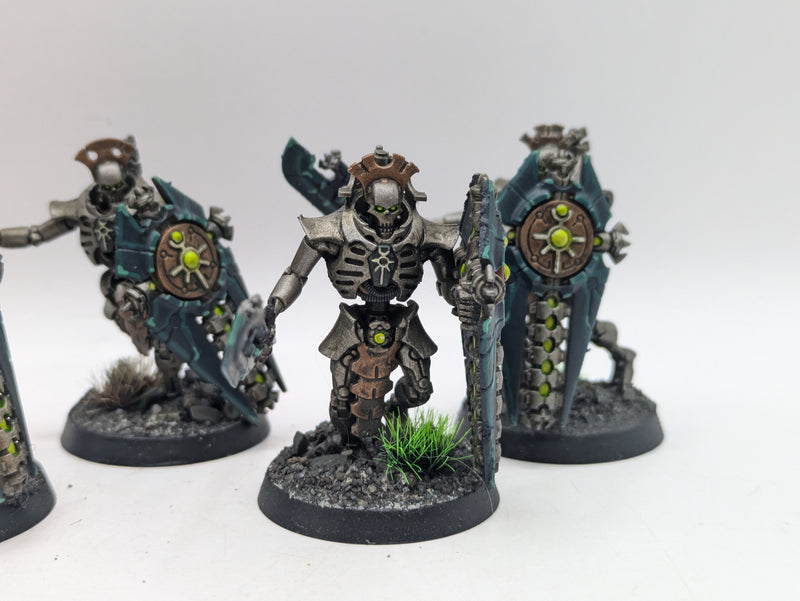 Warhammer 40k: Necron Lychguard (AT230)
