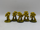 Warhammer 40k: Space Marines Imperial Fists Intercessors (AH074)