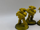 Warhammer 40k: Space Marines Imperial Fists Intercessors (AH074)