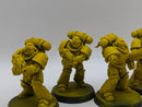 Warhammer 40k: Space Marines Imperial Fists Intercessors (AH074)