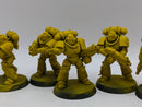 Warhammer 40k: Space Marines Imperial Fists Intercessors (AH074)