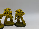 Warhammer 40k: Space Marines Imperial Fists Intercessors (AH074)