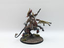 Warhammer Age of Sigmar: Slaves to Darkness Centaurion Marshal - Well Painted (AT044)