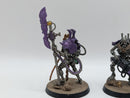 Warhammer 40k: Necron Indomitus Overlord and Royal Warden (AT117)