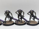 Warhammer 40k: Necron Warriors (AI261)