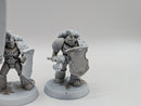 Warhammer Horus Heresy: Space Marine Commmand and Praetors (AF001)