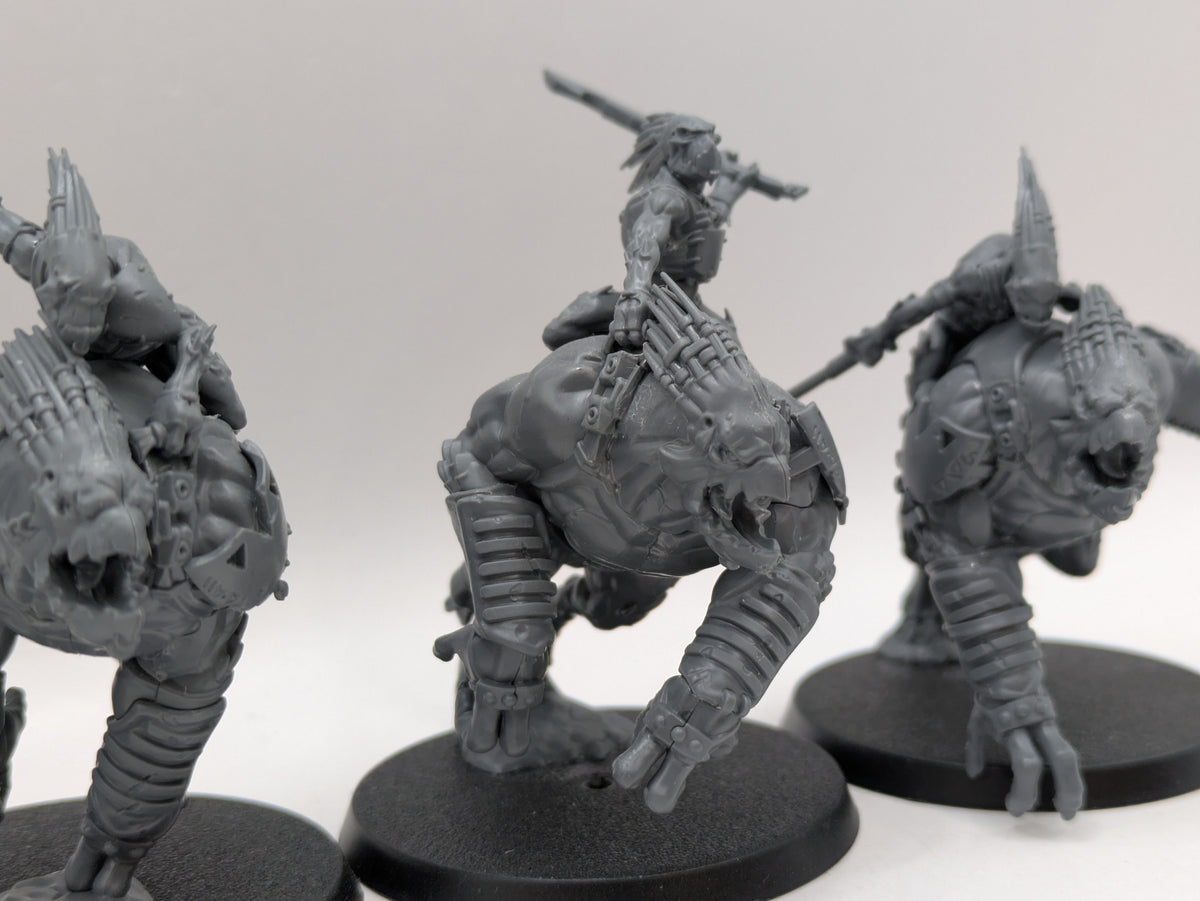 Warhammer 40k: T'au Empire Krootox Rider and Krootox