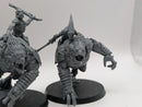 Warhammer 40k: T'au Empire Krootox Rider and Krootox Rampagers (AI070)