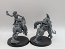 Warhammer 40k: T'au Empire Krootox Rider and Krootox Rampagers (AI070)