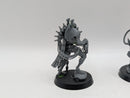 Warhammer 40k: Necrons Indomitus Overlord and Royal Warden (BA166)