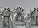 Warhammer Horus Heresy: Space Marines Cataphractii Terminators and Praetor (AT233)