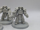 Warhammer Horus Heresy: Space Marines Cataphractii Terminators and Praetor (AT233)