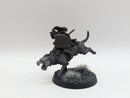Warhammer Lord of the Rings: Isengard Metal Warg Riders - Well Painted (AL056)