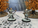 Warhammer Lord of the Rings: Rangers of Mirkwood with Legolas and Tauriel - Well Painted (AI051)