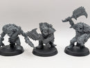 Warhammer 40k: Orks Beast Snagga Boyz (AM010)