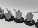 Warhammer Lord of the Rings: Iron Hills Dwarves with Spears (BA181)