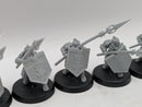Warhammer Lord of the Rings: Iron Hills Dwarves with Spears (BA181)