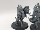 Warhammer 40k: Tyranids Winged Prime and Barbgaunts (AZ068)
