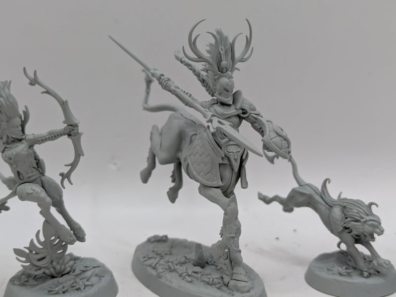 Warhammer Age of Sigmar: Underworlds Skaeth's Wild Hunt (AH095)