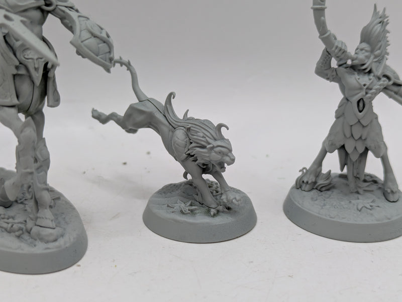 Warhammer Age of Sigmar: Underworlds Skaeth's Wild Hunt (AH095)