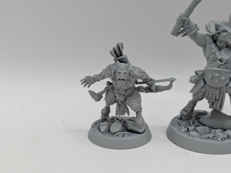 Warhammer Age of Sigmar: Underworlds Grashrak's Despoilers (AQ028)