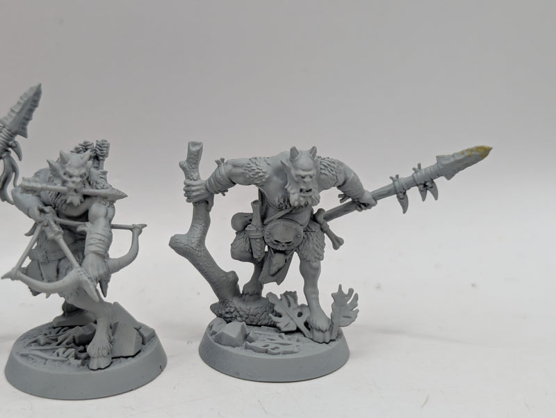 Warhammer Age of Sigmar: Underworlds Grashrak's Despoilers (AQ028)