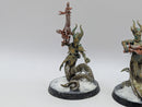 Warhammer 40k: Drukhari Dark Eldar Converted Sslyth (AJ127)