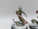 Warhammer 40k: Drukhari Dark Eldar Converted Sslyth (AJ127)