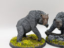 Warhammer Lord of the Rings: Beornings Beorn and Grimbeorn (BA092)
