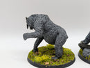 Warhammer Lord of the Rings: Beornings Beorn and Grimbeorn (BA092)