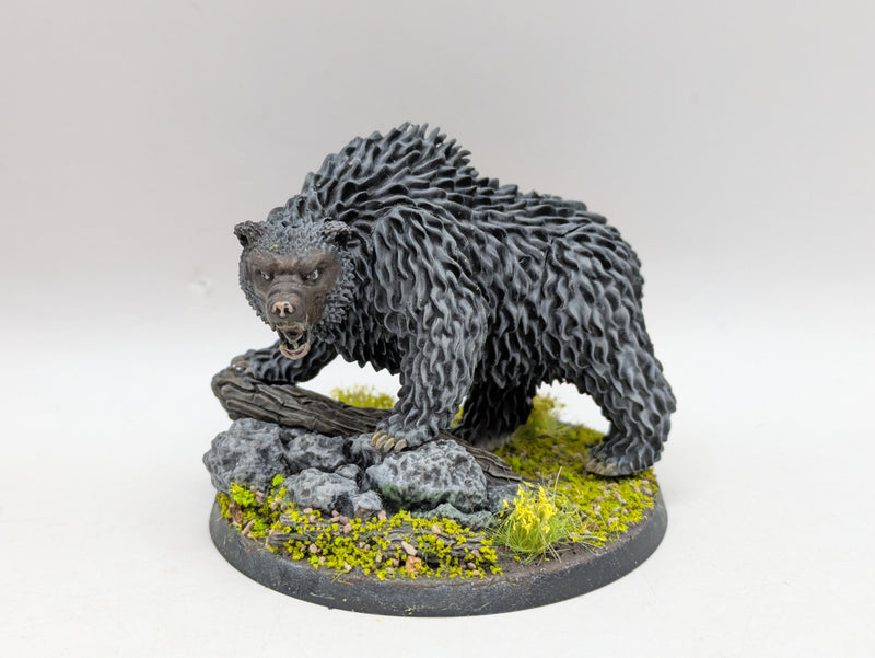 Warhammer Lord of the Rings: Beornings Beorn and Grimbeorn (BA092)
