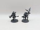 Warhammer 40k: Agents of the Imperium Inquisitor Greyfax and Draxus (AW244)