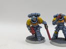 Warhammer 40k: Space Marine Space Wolves Assault Intercessors (AI064)