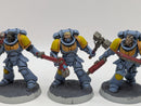 Warhammer 40k: Space Marine Space Wolves Assault Intercessors (AI064)
