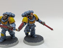 Warhammer 40k: Space Marine Space Wolves Assault Intercessors (AI064)