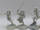 Warhammer 40k: Aeldari Eldar Howling Banshees and Jain Zar (AE024)