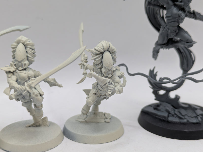 Warhammer 40k: Aeldari Eldar Howling Banshees and Jain Zar (AE024)
