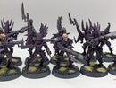 Warhammer 40k: Drukhari Dark Eldar Warriors and Metal Lord Archon (AZ010)