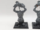 Warhammer The Old World: Orcs & Goblins Battle For Skull Pass Trolls (AW231)