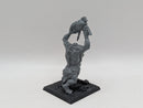 Warhammer The Old World: Orcs & Goblins Battle For Skull Pass Trolls (AW231)