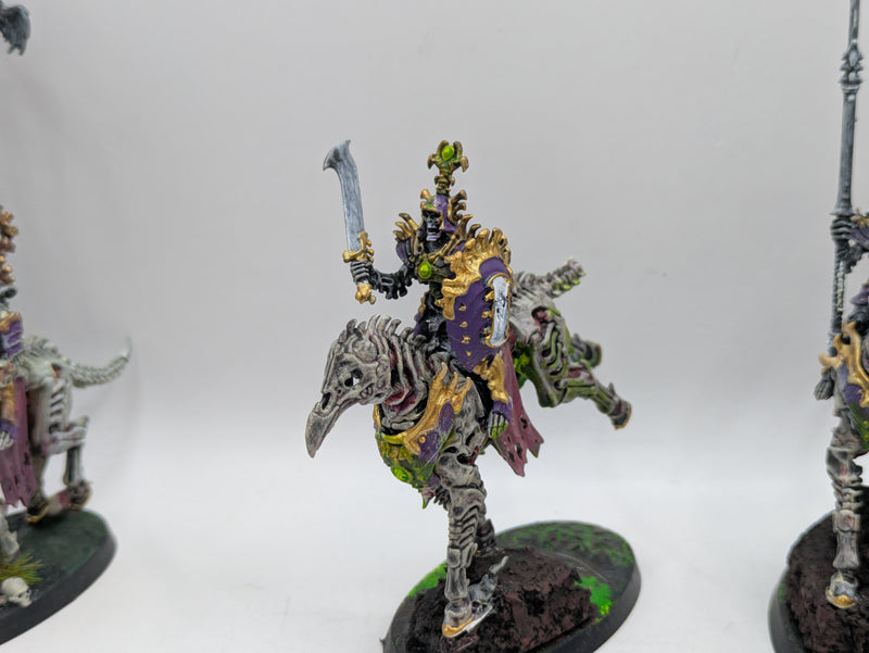 Warhammer Age of Sigmar: Ossiarch Bonereapers Kavalos Deathriders (BA099)