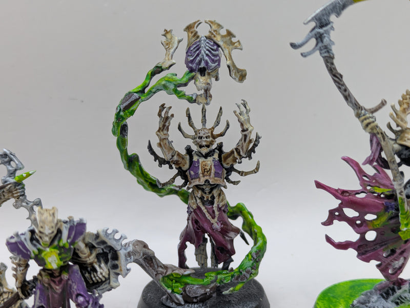 Warhammer Age of Sigmar: Ossiarch Bonereapers Kainan's Reapers and Soulreaper (AA163)