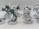 Warhammer Age of Sigmar: Nighthaunt Dreadscythe Harridans (AI019)