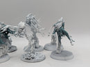 Warhammer Age of Sigmar: Nighthaunt Dreadscythe Harridans (AI019)