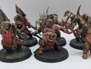 Warhammer Age of Sigmar: Maggotkin of Nurgle Harbinger of Decay Old and Nurgle Sorcerer (AL044)